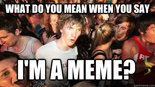 what do you mean when you say i'm a meme?  Sudden Clarity Clarence
