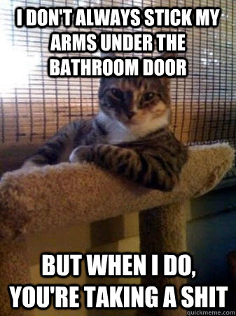 I don't always stick my arms under the bathroom door but when I do, you're taking a shit  The Most Interesting Cat in the World