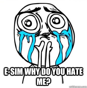  E-sim why do you hate me?  Crying meme