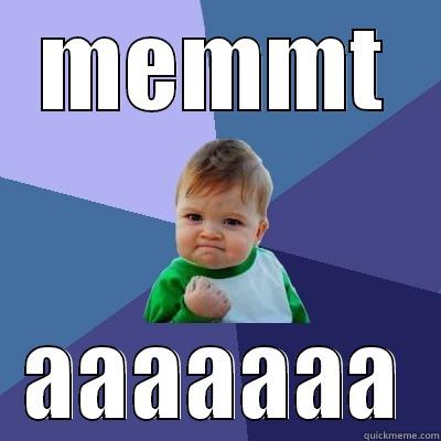 MEMMT AAAAAAA Success Kid