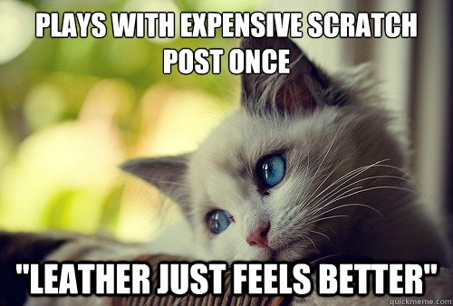 plays with expensive scratch post once 