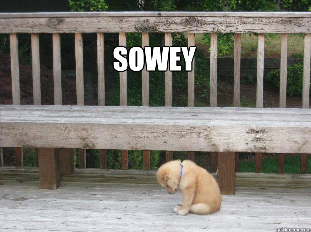 SOWEY  Sorry