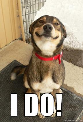  I DO!  Good Dog Greg