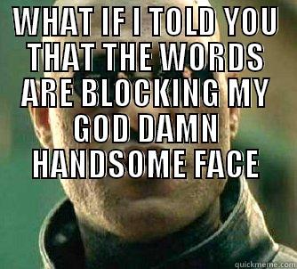 What if I told you - WHAT IF I TOLD YOU THAT THE WORDS ARE BLOCKING MY GOD DAMN HANDSOME FACE  Matrix Morpheus