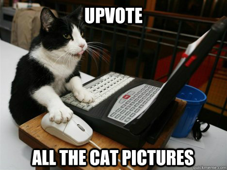 UPVOTE ALL THE CAT PICTURES  