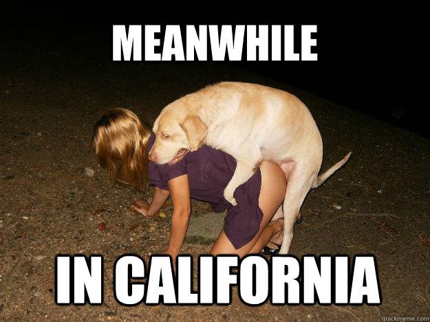 meanwhile in california  Doggystyle