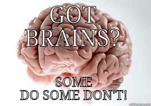 GOT BRAINS? SOME DO SOME DON'T! Scumbag Brain