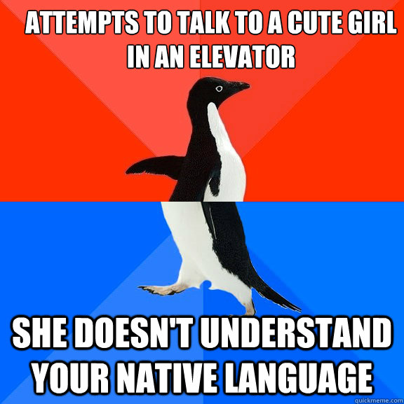 attempts to talk to a cute girl in an elevator She doesn't understand your native language  Socially Awesome Awkward Penguin