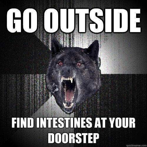 go outside find intestines at your doorstep  Insanity Wolf