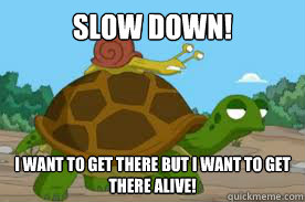 SLOW DOWN! I WANT TO GET THERE BUT I WANT TO GET THERE ALIVE!  