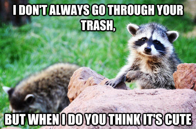 I don't always go through your trash, but when I do you think it's cute - I don't always go through your trash, but when I do you think it's cute  Most interesting Raccoon