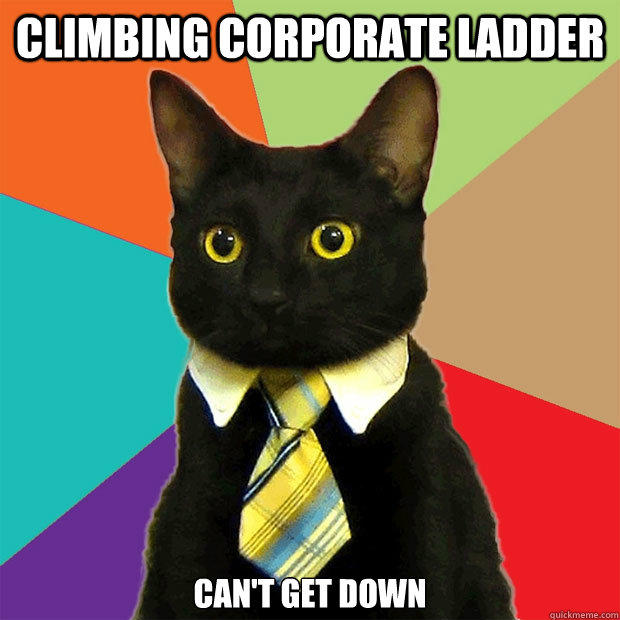 Climbing corporate ladder can't get down - Climbing corporate ladder can't get down  Business Cat