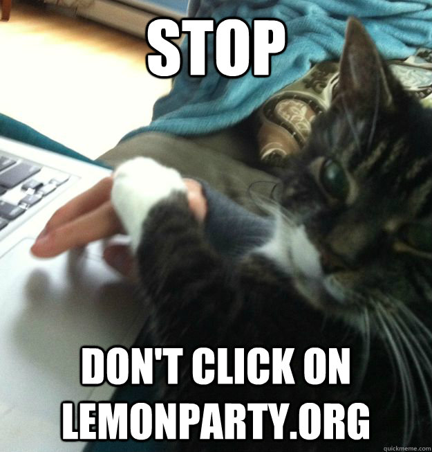 STOP Don't click on lemonparty.org  insightful reddit cat