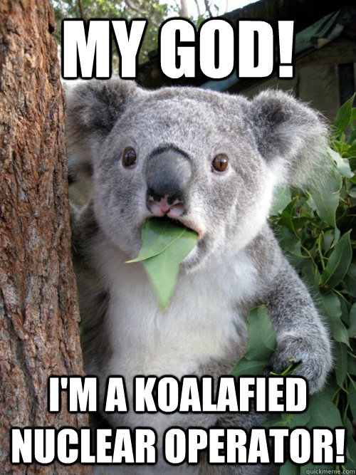 My God! I'm a koalafied nuclear operator!  Amazed Koala