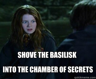 SHOVE THE BASILISK INTO THE CHAMBER OF SECRETS  