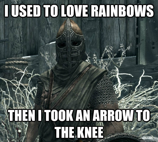 I used to love rainbows Then I took an arrow to the knee  Skyrim Guard