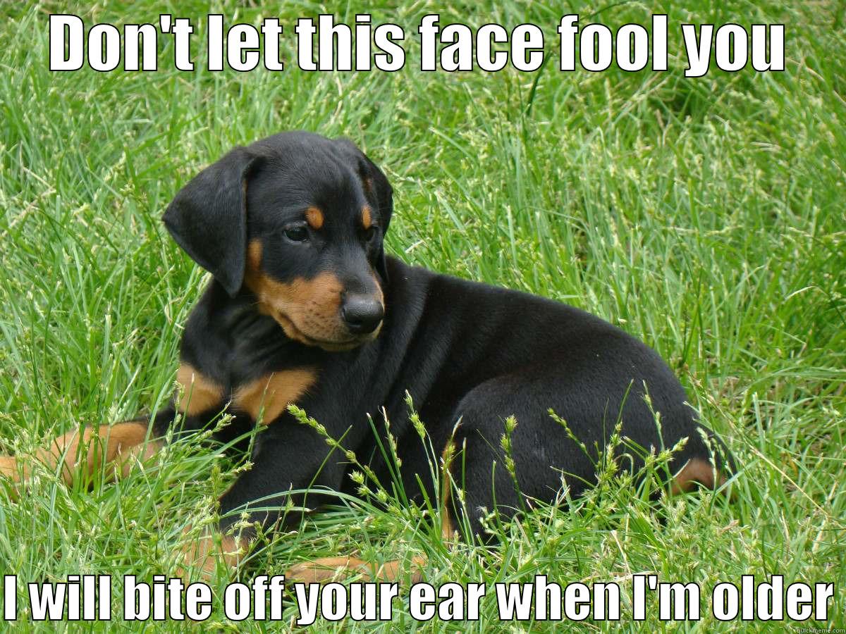 DON'T LET THIS FACE FOOL YOU  I WILL BITE OFF YOUR EAR WHEN I'M OLDER Misc