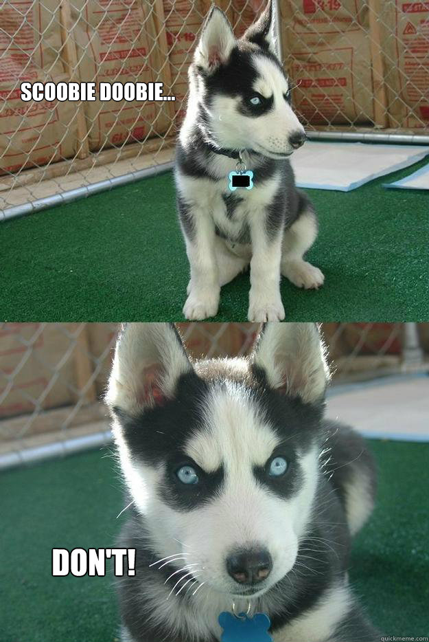 Scoobie Doobie... Don't!  Insanity puppy