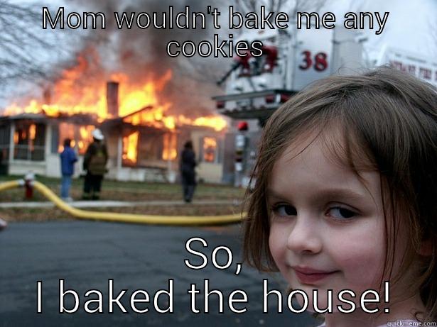 Kids are bullies! - MOM WOULDN'T BAKE ME ANY COOKIES SO, I BAKED THE HOUSE! Disaster Girl