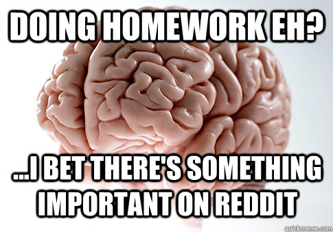Doing homework eh? ...i bet there's something important on reddit  Scumbag Brain