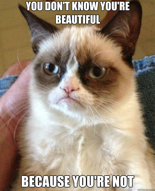 You don't know you're beautiful because you're not - You don't know you're beautiful because you're not  Grumpy Cat