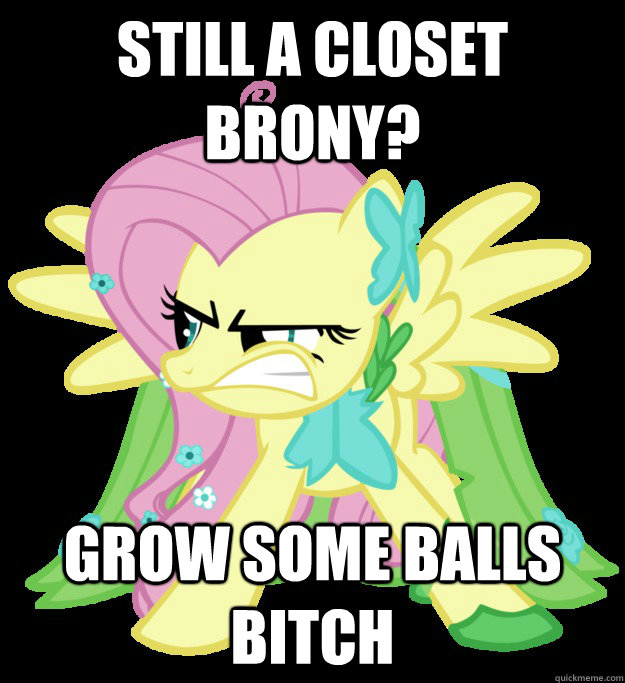 Still a closet brony? Grow some balls bitch  Courage Brony