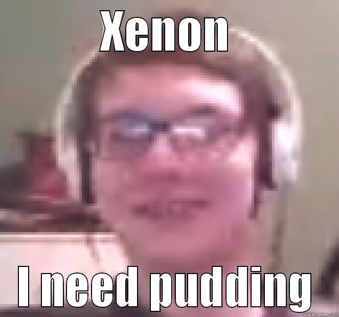 Xenon Mind - XENON I NEED PUDDING Misc