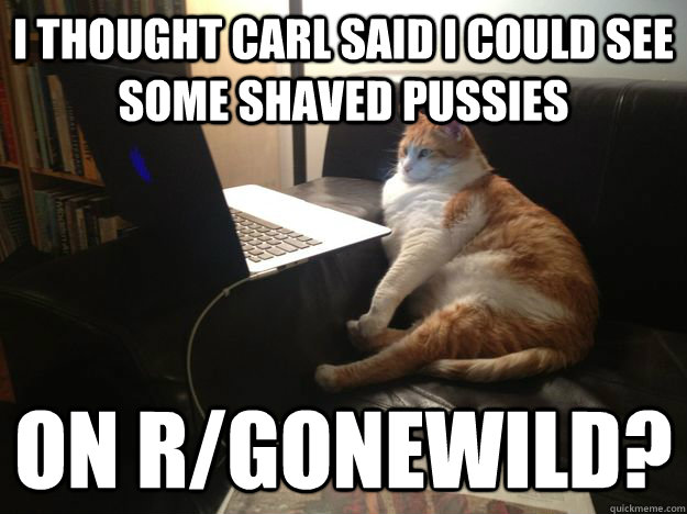 i thought carl said i could see some shaved pussies on r/gonewild?  vicarious cat