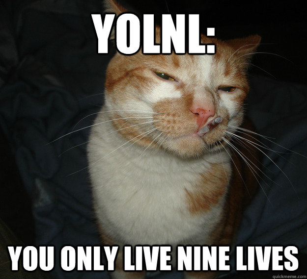 YOLNL: You only live nine lives - YOLNL: You only live nine lives  Cool Cat Craig