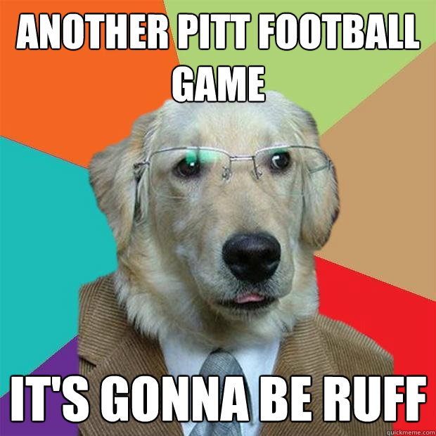 Another Pitt football game it's gonna be ruff  Business Dog