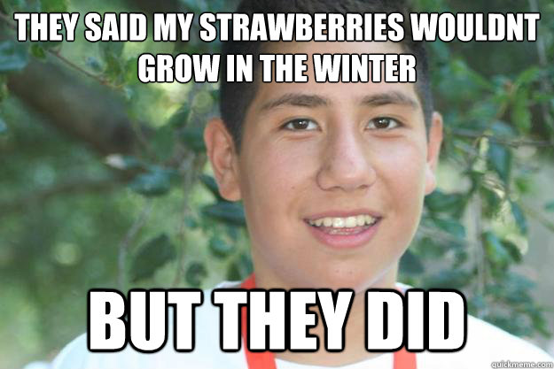 they said my strawberries wouldnt grow in the winter BUT THEY DID - they said my strawberries wouldnt grow in the winter BUT THEY DID  Si se puede Alan