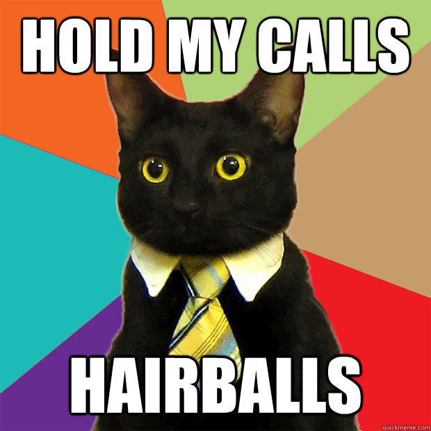 hold my calls hairballs  Business Cat