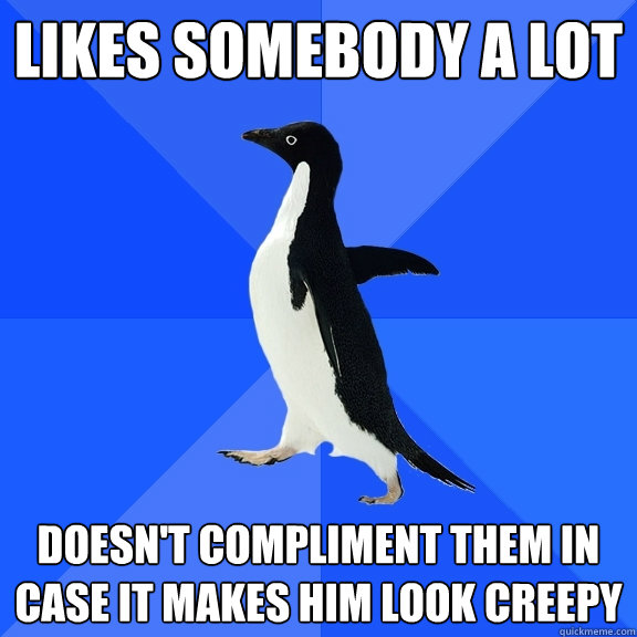 Likes somebody a lot doesn't compliment them in case it makes him look creepy  Socially Awkward Penguin