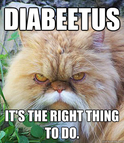 Diabeetus It's the right thing to do.  Diabeetus Cat