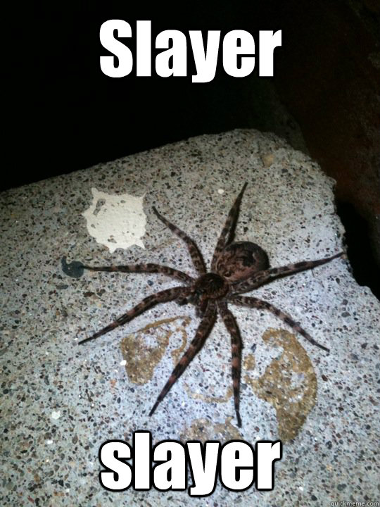 Slayer slayer - Slayer slayer  HORRIBLE SPIDER!