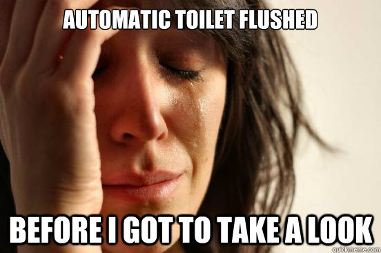 Automatic toilet flushed Before I got to take a look  First World Problems