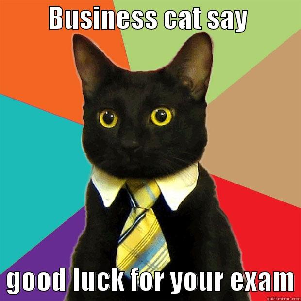          BUSINESS CAT SAY             GOOD LUCK FOR YOUR EXAM Business Cat