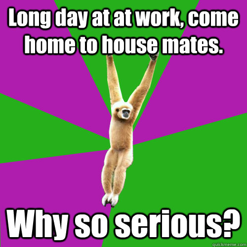 Long day at at work, come home to house mates. Why so serious? - Long day at at work, come home to house mates. Why so serious?  Over-used quote gibbon