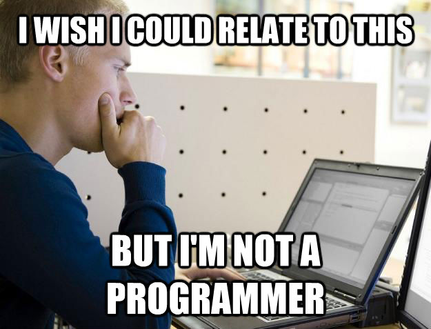 I WISH I COULD RELATE TO THIS BUT I'M NOT A PROGRAMMER  Programmer