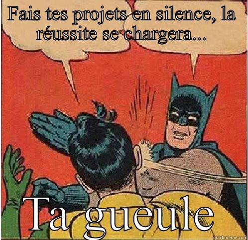 FAIS TES PROJETS EN SILENCE, LA RÉUSSITE SE CHARGERA... TA GUEULE Batman Slapping Robin