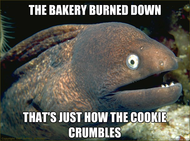 The bakery burned down That's just how the cookie crumbles  Bad Joke Eel