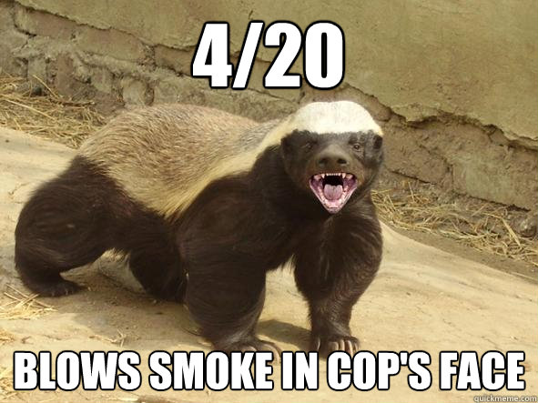 4/20 Blows smoke in cop's face  Indifferent Honey Badger