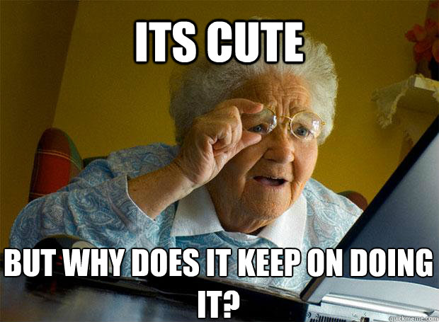 ITS CUTE  BUT WHY DOES IT KEEP ON DOING IT?   - ITS CUTE  BUT WHY DOES IT KEEP ON DOING IT?    Misc