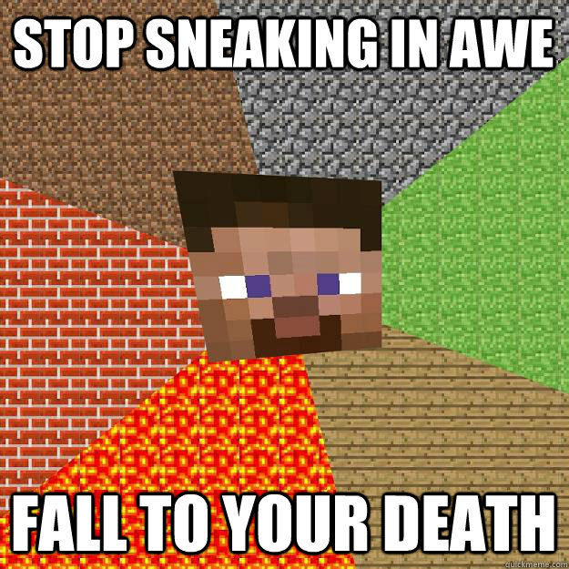 Stop sneaking in awe Fall to your death  Minecraft