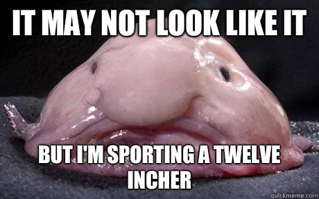 It may not look like it But I'm sporting a twelve incher - It may not look like it But I'm sporting a twelve incher  Douchebag Blobfish