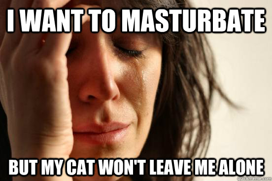 I want to masturbate   but my cat won't leave me alone  First World Problems