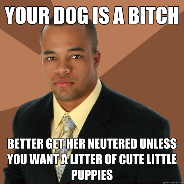 your dog is a bitch better get her neutered unless you want a litter of cute little puppies  Successful Black Man