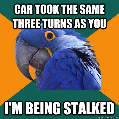 car took the same three turns as you i'm being stalked  Paranoid Parrot