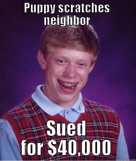 PUPPY SCRATCHES NEIGHBOR SUED FOR $40,000 Bad Luck Brian