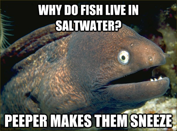 why do fish live in    saltwater? peeper makes them sneeze  - why do fish live in    saltwater? peeper makes them sneeze   Bad Joke Eel